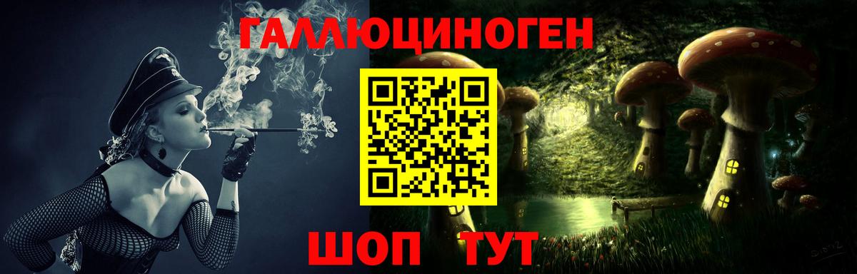 Галлюциногенные грибы GOLDEN TEACHER  Вход с VPN  Дальнереченск 
